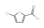 chemical structure of CAS#42518-98-9: 5-chlorothiophene-2-carbonyl chloride